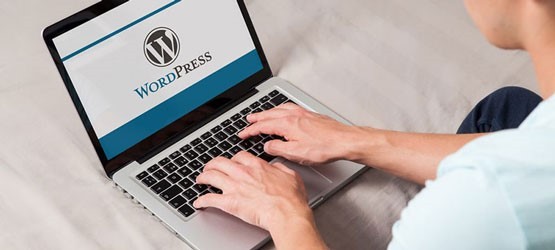 wordpress tema tasarımı