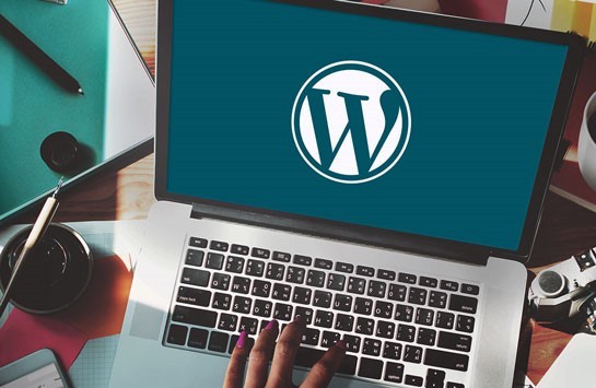 wordpress tema tasarım